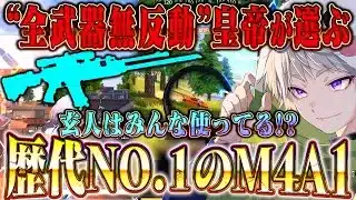 【無反動】界隈最強が選ぶなぜか強いM4A1歴代最強スキン【荒野行動】