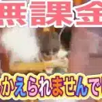 #進撃の巨人「倉庫紹介」by無課金勢【荒野行動】PC版『KNIVES OUT』「荒野の光」　#荒野行動　 #荒野組  　#荒野再開祭　 #荒野行動純金配布