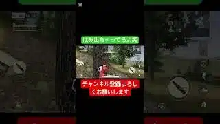 はみ出し具合がかわいい！！#荒野行動 #荒野行動キル集 #荒野行動iphone勢 #かくれんぼ