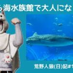 ピエール、大人の階段をのぼる(？)/荒野人狼(日)記#1111