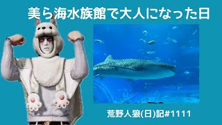 ピエール、大人の階段をのぼる(？)/荒野人狼(日)記#1111
