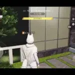 荒野