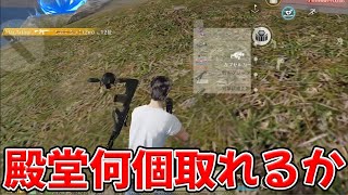 完全無課金わらしべ荒野で大量の金枠が欲しい　#荒野行動