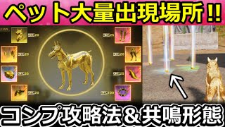 【荒野行動】最短１分でコンプ可能‼ペット秘蔵の大量出現場所＆共鳴石の入手法！共鳴形態の新武器：永遠の輪・ペニンシュラ大脱走の完全攻略法・金のクッキー・最新情報 6選（Vtuber）