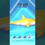 荒野行動金のサメのガチャ7連引く