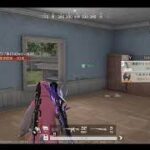 荒野行動PC版 ゆるゆるライブ配信