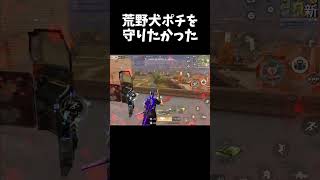 荒野でポチを守り抜くことは出来るのかｗｗ【#荒野行動】#shorts #荒野組 #Knives Out #荒野再会祭 #荒野行動純金配布