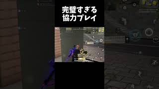 野良なのに完璧な協力プレイできたｗｗ【#荒野行動】#shorts #荒野組 #Knives Out #荒野再会祭 #荒野行動純金配布