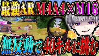 【無反動男が】環境最強ARを2丁持ちしたら40キルいける説w【#荒野行動 】