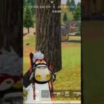 【荒野行動】日本人なら忘れないでほしい！？ワイルドシリーズ。