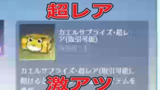 軍団活動「イベント」【荒野行動】1730PC版『KNIVES OUT』「荒野の光」　#荒野バババン8周年 #荒野行動 #荒野暴走ダンス #底辺まぁ【荒野無課金】