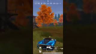 【荒野行動】臨戦態勢の優秀な精鋭とパトロールしながらBGMを付けてみた。ワイルドシリーズ。