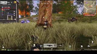 荒野行動PC版 ゆるゆるライブ配信