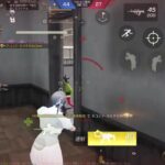 隙あれば青ヒラ