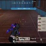 【忘年会】荒野行動PC版 ゆるゆるライブ配信