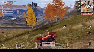 荒野行動PC版 ゆるゆるライブ配信