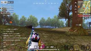 [PS5/あみかるコハクのまったりゲーム]荒野行動/エラーで落ちるまでー