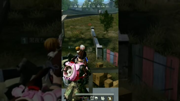 復帰録  5キル  Day13