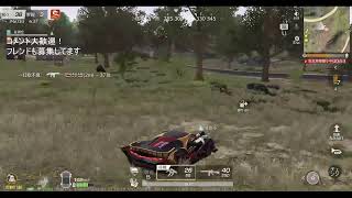 【荒野行動PC版】　成人式寝坊したやつです