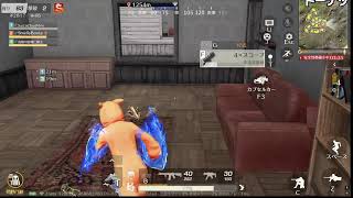 【PC荒野行動】ゆるゆる配信