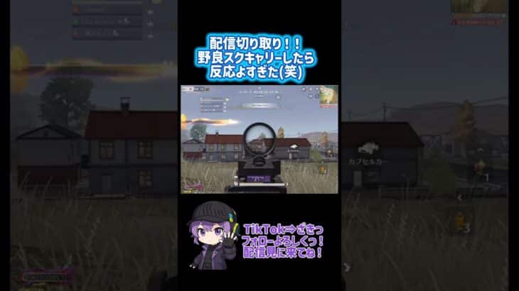 Tiktok見に来てね！ #おすすめ #荒野行動 #クリップ集 #ゲーム実況 #かっこいいキル集 #ざきっ #切り抜き