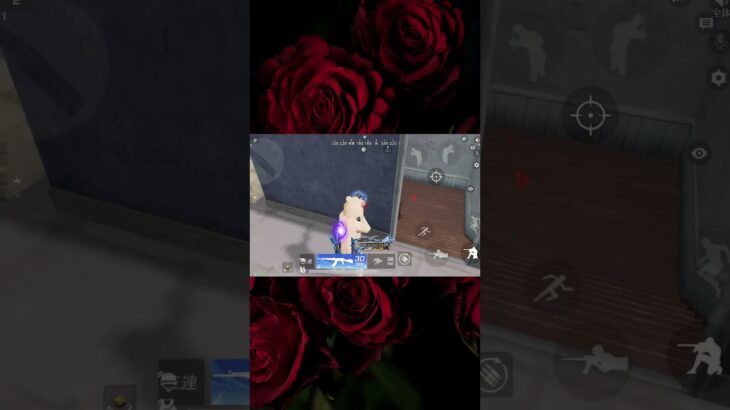 【荒野行動】潔い#荒野 #荒野行動 #荒野行動キル集 #なお茶 #shorts