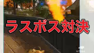 お昼のひと時【荒野行動】1846PC版『KNIVES OUT』「荒野の光」