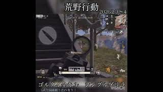 【荒野行動】2日間ゴルタイ全キル‼️ シングルゲリラ