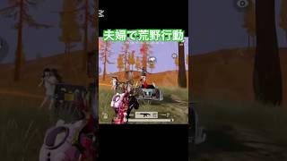 【夫婦で荒野行動】車で突っ込まれたらどう対処してますか？ #荒野行動 #gaming  #夫婦　#キル集