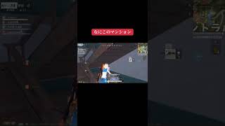 ドラゴンフォースもセラフもめちゃくちゃカッコよすぎるぜ！！！ #荒野行動