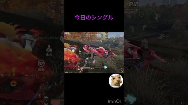 今日のシングルキル集#荒野行動