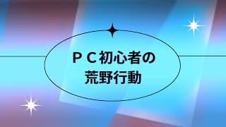 ＰＣ初心者の荒野行動