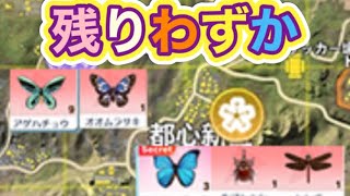 ＃虫取り大会「軍団活動」ミッション【荒野行動】1866PC版『KNIVES OUT』「荒野の光」#荒野新生活応援 #荒野inラブ