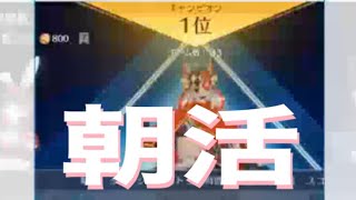 【朝活】「軍団活動」ミッション【荒野行動】1877PC版『KNIVES OUT』「荒野の光」