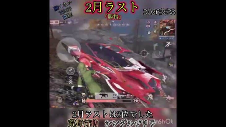 【荒野行動】2月ラストもダメだ💦来月こそ頑張るぞ‼️ シングルゲリラ