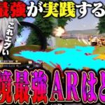 【無反動】現環境最強ARを考えた結果が意外すぎた【#荒野行動 】