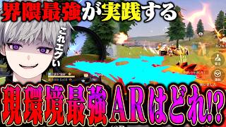 【無反動】現環境最強ARを考えた結果が意外すぎた【#荒野行動 】