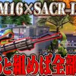 【M16】5.56mm２丁持ちで近距離も中距離も万能すぎる通常破壊【#荒野行動 】