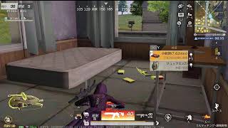 荒野行動PC版 ゆるゆるライブ配信