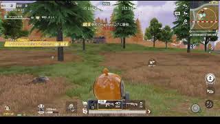 荒野行動PC版 ゆるゆるライブ配信