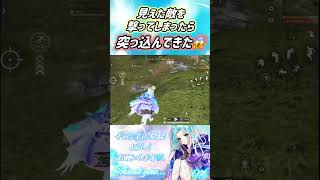 【荒野行動】見えた敵を撃ってしまったら、突っ込んできた😱#荒野行動 #荒野の光 #shorts