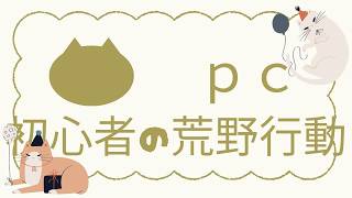 ＰＣ初心者の荒野行動
