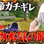 文句言ってくる奴らに捧ぐ味方にすらキルを許さない通常破壊【#荒野行動 】
