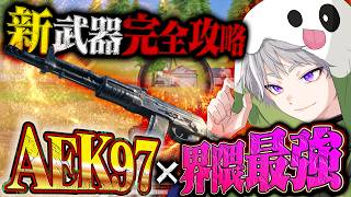 新武器AEK97検証したら最強すぎてフルパ破壊余裕な件について【#荒野行動 】