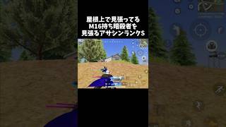 屋根上で見張ってる暗殺者を俺も見張るｗｗ【#荒野行動】# Knives Out   #荒野アプデ  #荒野GOGOFES #荒野の光
