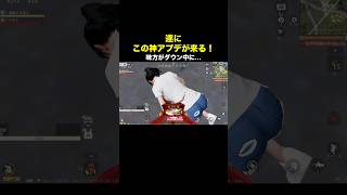 待望のアプデ到来!味方が踏めるように【荒野行動】#荒野アプデ #shorts