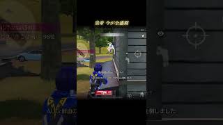 いつが全盛期なのか分からない【#荒野行動 】