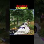 【頭腦派】解説しながら戦う皇帝が上手すぎる【#荒野行動 】