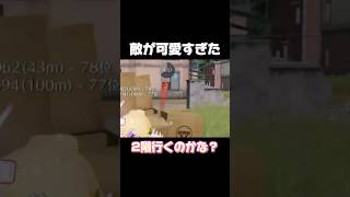 敵が可愛すぎたw #荒野の光 #荒野gogofes #荒野行動 #荒野GOGOFES