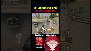 心配になる強さwww #shorts #荒野行動 #トト #キル集 #荒野の光 #ワンパ潰し